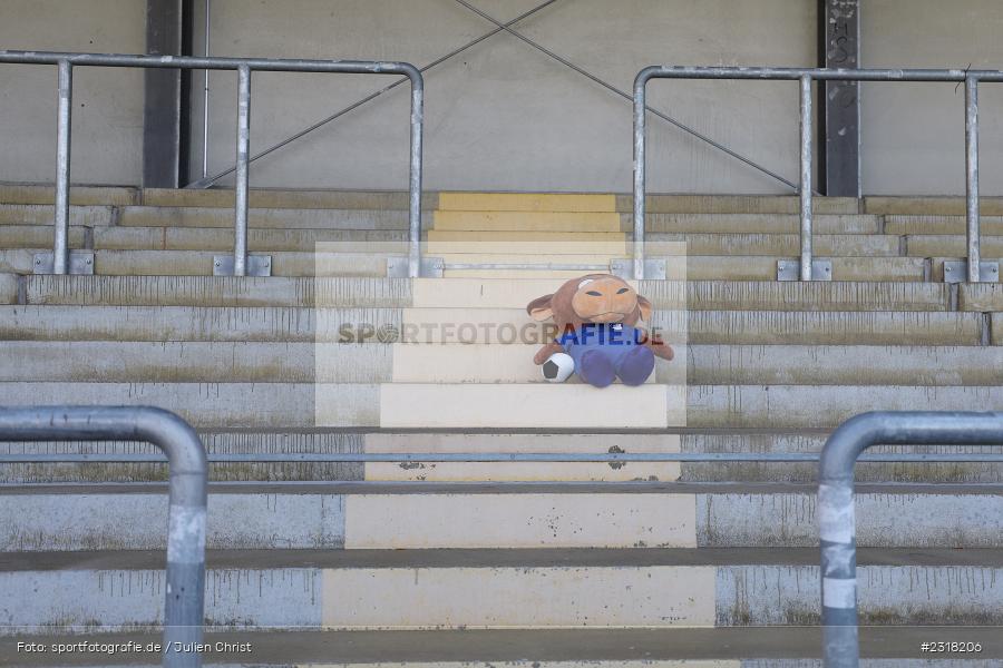 Tribüne, Maskottchen, Dietmar-Hopp-Stadion, Hoffenheim, 13.02.2022, DFB, sport, action, Februar 2022, Saison 2021/2022, FLYERALARM Frauen-Bundesliga, FFBL, SGS, TSG, SGS Essen, TSG 1899 Hoffenheim - Bild-ID: 2318206