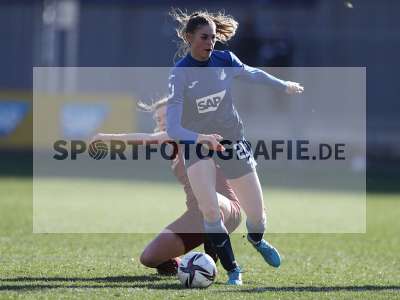 Bild-ID: 2318181