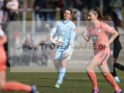 Bild-ID: 2319564