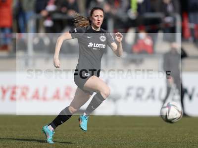 Bild-ID: 2319581
