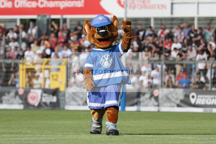 Viki, Maskottchen, Stadion am Schönbusch, Aschaffenburg, 05.07.2022, DFL, BFV, sport, action, Fussball, Juli 2022, Saison 2022/2023, Bundesliga, Regionalliga Bayern, Testspiel, Landesfreundschaftsspiele, SGE, SVA, Eintracht Frankfurt, SV Viktoria Aschaffenburg - Bild-ID: 2333672