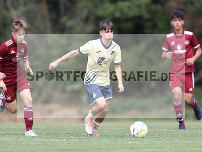 Bild-ID: 2335387