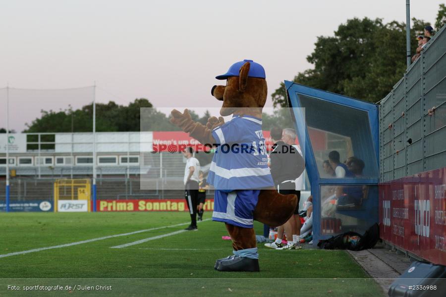 Viki, Maskottchen, Stadion am Schönbusch, Aschaffenburg, 12.08.2022, BFV, sport, action, Fussball, August 2022, Saison 2022/2023, RB, Regionalliga Bayern, SGF, SVA, SpVgg Greuther Fürth II, SV Viktoria Aschaffenburg - Bild-ID: 2336988 Viki, Maskottchen, Stadion am Schönbusch, Aschaffenburg, 12.08.2022, BFV, sport, action, Fussball, August 2022, Saison 2022/2023, RB, Regionalliga Bayern, SGF, SVA, SpVgg Greuther Fürth II, SV Viktoria Aschaffenburg - Bild-ID: 2336988