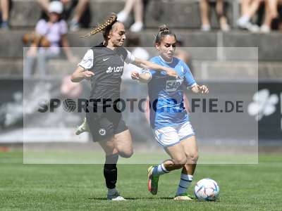 Bild-ID: 2336594