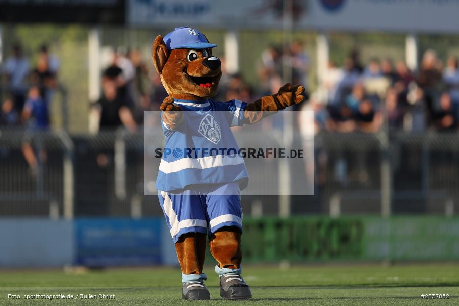 Maskottchen, Stadion am Schönbusch, Aschaffenburg, 23.08.2022, BFV, sport, action, Fussball, August 2022, Saison 2022/2023, 8. Spieltag, Regionalliga Bayern, FWK, SVA, FC Würzburger Kickers, SV Viktoria Aschaffenburg - Bild-ID: 2337852