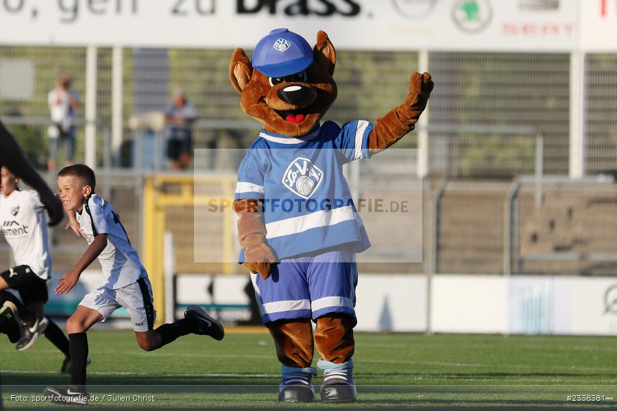 Viki, Maskottchen, Stadion am Schönbusch, Aschaffenburg, 02.09.2022, BFV, sport, action, Fussball, August 2022, Saison 2022/2023, 9. Spieltag, Regionalliga Bayern, FCN, SVA, 1. FC Nürnberg II, SV Viktoria Aschaffenburg - Bild-ID: 2338381 Viki, Maskottchen, Stadion am Schönbusch, Aschaffenburg, 02.09.2022, BFV, sport, action, Fussball, August 2022, Saison 2022/2023, 9. Spieltag, Regionalliga Bayern, FCN, SVA, 1. FC Nürnberg II, SV Viktoria Aschaffenburg - Bild-ID: 2338381
