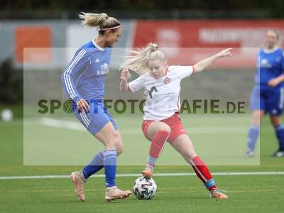 Bild-ID: 2341858