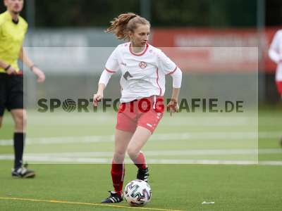 Bild-ID: 2341870