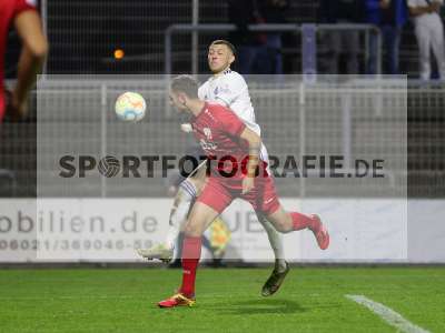 Bild-ID: 2342415
