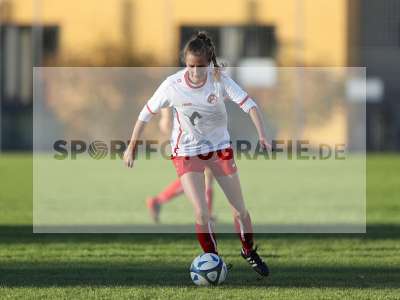 Bild-ID: 2342794