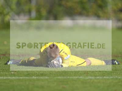 Bild-ID: 2342891