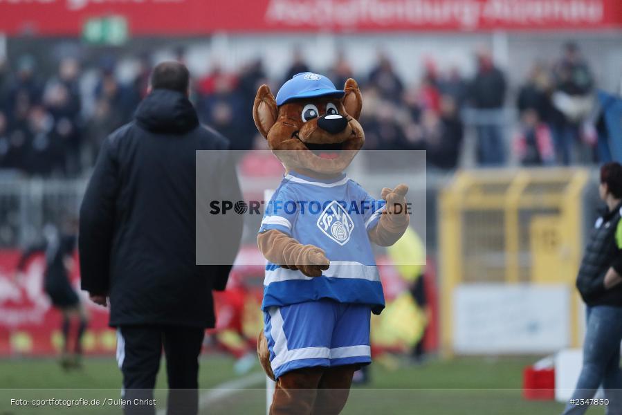 Maskottchen, Stadion am Schönbusch, Aschaffenburg, 03.12.2022, sport, action, Fussball, BFV, Dezember 2022, Saison 2022/2023, 24. Spieltag, Regionalliga Bayern, FCB, SVA, FC Bayern München II, SV Viktoria Aschaffenburg - Bild-ID: 2347830
