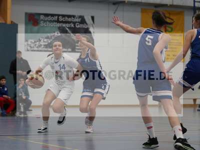Bild-ID: 2353945