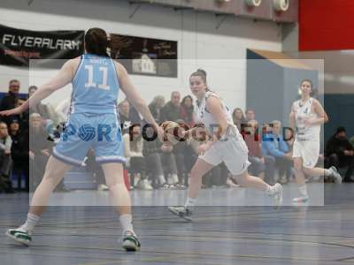 Bild-ID: 2356511