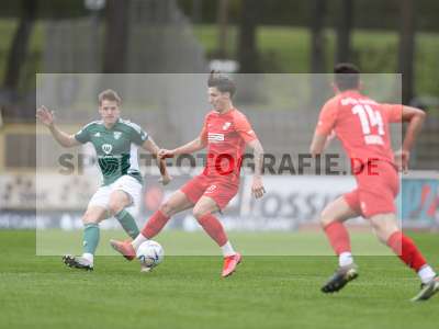 Bild-ID: 2361590