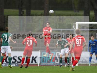 Bild-ID: 2361732