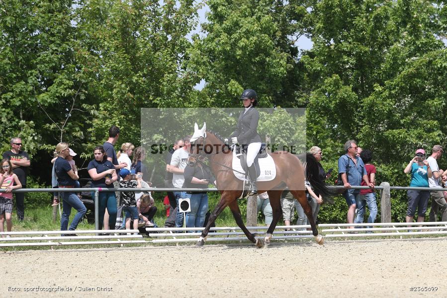 Reit- und Fahrverein e.V., Külsheim, 21.05.2023, sport, action, 14 Reiter-WB Schritt - Trab - Galopp, Pferdesport, Reitturnier Külsheim 2023 - Bild-ID: 2365699 Reit- und Fahrverein e.V., Külsheim, 21.05.2023, sport, action, 14 Reiter-WB Schritt - Trab - Galopp, Pferdesport, Reitturnier Külsheim 2023 - Bild-ID: 2365699