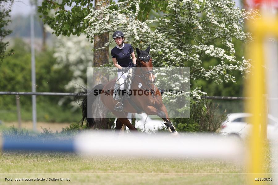 Reit- und Fahrverein e.V., Külsheim, 21.05.2023, sport, action, 03 Springprüfung Kl. A**, Pferdesport, Reitturnier Külsheim 2023 - Bild-ID: 2365838 Reit- und Fahrverein e.V., Külsheim, 21.05.2023, sport, action, 03 Springprüfung Kl. A**, Pferdesport, Reitturnier Külsheim 2023 - Bild-ID: 2365838