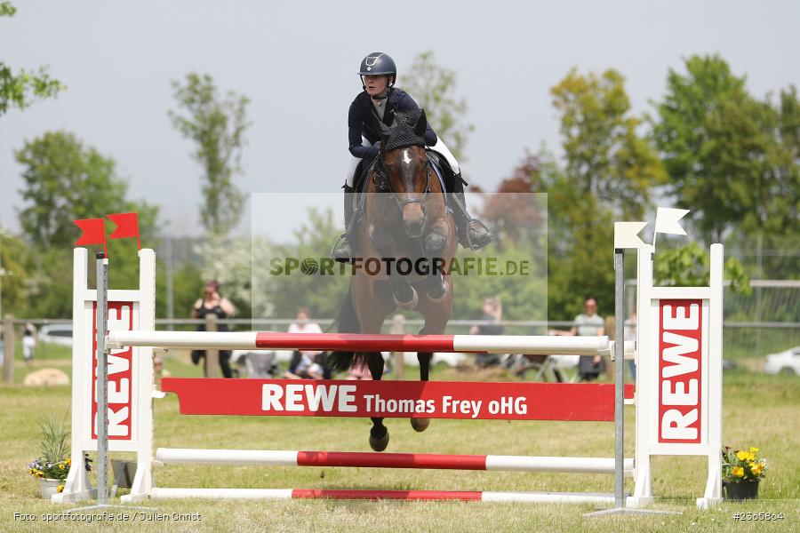 Reit- und Fahrverein e.V., Külsheim, 21.05.2023, sport, action, 06 Springpferdeprüfung Kl.A*, Pferdesport, Reitturnier Külsheim 2023 - Bild-ID: 2365864 Reit- und Fahrverein e.V., Külsheim, 21.05.2023, sport, action, 06 Springpferdeprüfung Kl.A*, Pferdesport, Reitturnier Külsheim 2023 - Bild-ID: 2365864