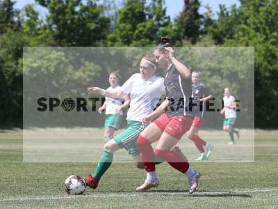 Bild-ID: 2366520