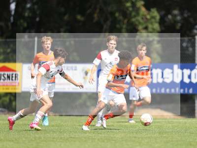 Bild-ID: 2369469