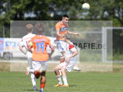 Bild-ID: 2369498