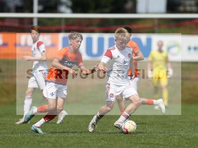 Bild-ID: 2369516