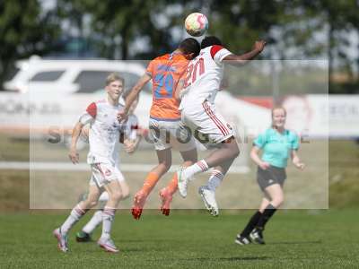 Bild-ID: 2369521