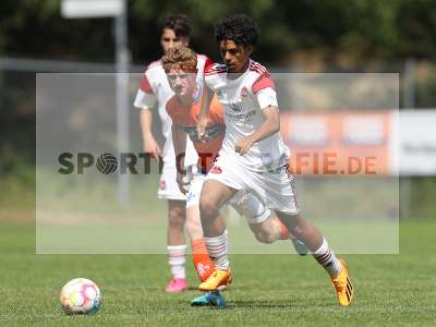 Bild-ID: 2369544
