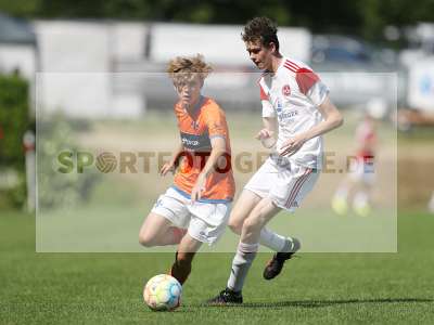 Bild-ID: 2369598