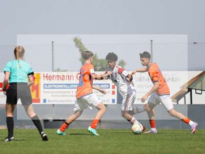 Bild-ID: 2369619