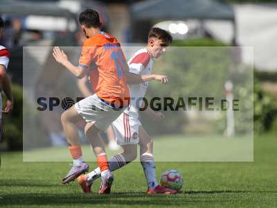 Bild-ID: 2369626