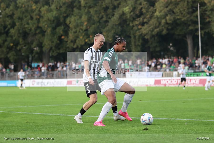 Dominik Ngatie, Willy-Sachs-Stadion, Schweinfurt, 08.09.2023, sport, action, bfv, Fussball, Saison 2023/2024, 9. Spieltag, Regionalliga Bayern, SVW, FCS, SV Wacker Burghausen, 1. FC Schweinfurt 1905 - Bild-ID: 2377559