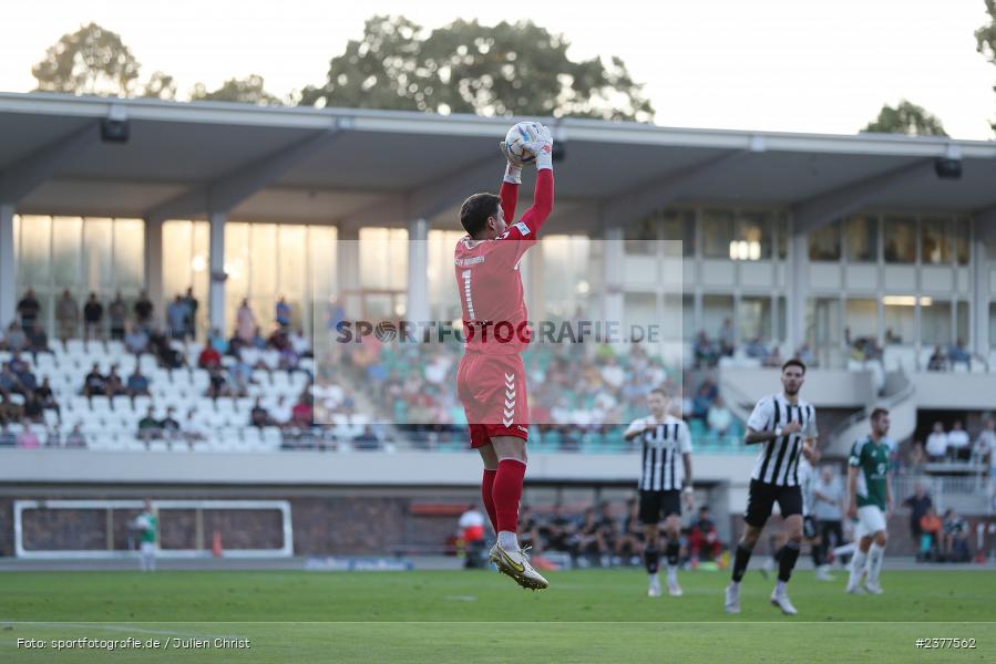 Markus Schöller, Willy-Sachs-Stadion, Schweinfurt, 08.09.2023, sport, action, bfv, Fussball, Saison 2023/2024, 9. Spieltag, Regionalliga Bayern, SVW, FCS, SV Wacker Burghausen, 1. FC Schweinfurt 1905 - Bild-ID: 2377562