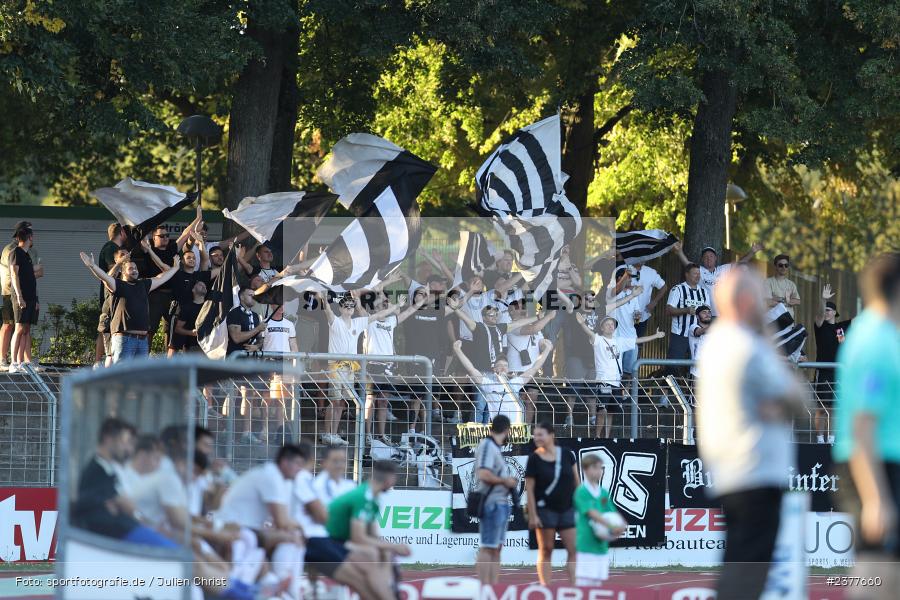 sport, action, Willy-Sachs-Stadion, Schweinfurt, Saison 2023/2024, SVW, SV Wacker Burghausen, Regionalliga Bayern, Fussball, FCS, BFV, 9. Spieltag, 1. FC Schweinfurt 1905, 08.09.2023 - Bild-ID: 2377660