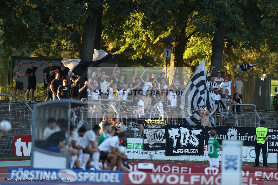 sport, action, Willy-Sachs-Stadion, Schweinfurt, Saison 2023/2024, SVW, SV Wacker Burghausen, Regionalliga Bayern, Fussball, FCS, BFV, 9. Spieltag, 1. FC Schweinfurt 1905, 08.09.2023 - Bild-ID: 2377677 sport, action, Willy-Sachs-Stadion, Schweinfurt, Saison 2023/2024, SVW, SV Wacker Burghausen, Regionalliga Bayern, Fussball, FCS, BFV, 9. Spieltag, 1. FC Schweinfurt 1905, 08.09.2023 - Bild-ID: 2377677