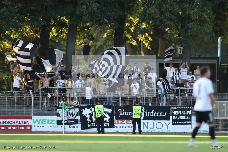 Fans, sport, action, Willy-Sachs-Stadion, Schweinfurt, Saison 2023/2024, SVW, SV Wacker Burghausen, Regionalliga Bayern, Fussball, FCS, BFV, 9. Spieltag, 1. FC Schweinfurt 1905, 08.09.2023 - Bild-ID: 2377699