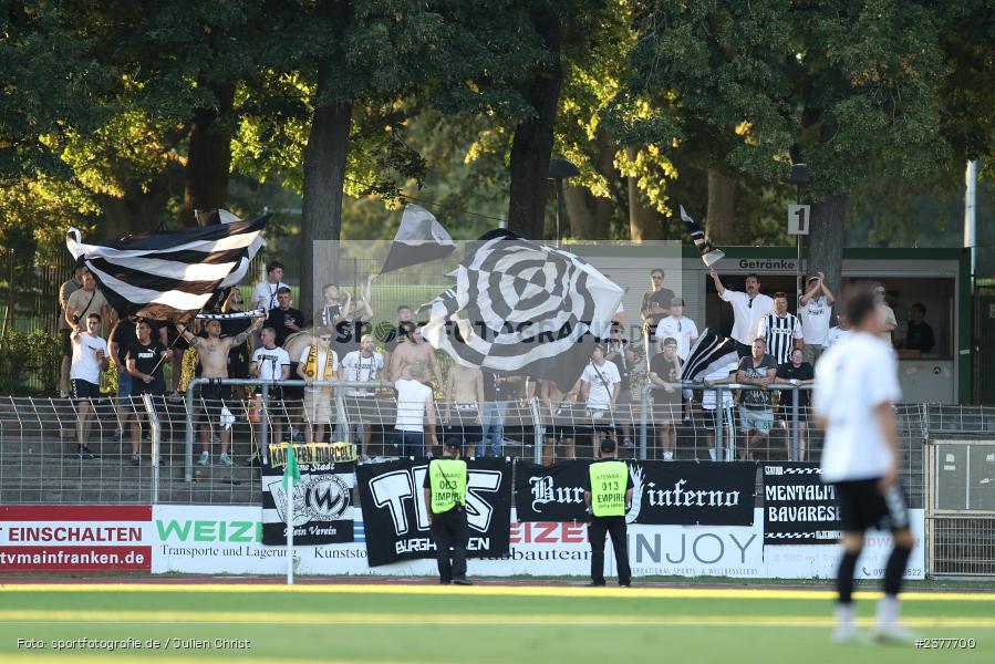 Fans, sport, action, Willy-Sachs-Stadion, Schweinfurt, Saison 2023/2024, SVW, SV Wacker Burghausen, Regionalliga Bayern, Fussball, FCS, BFV, 9. Spieltag, 1. FC Schweinfurt 1905, 08.09.2023 - Bild-ID: 2377700