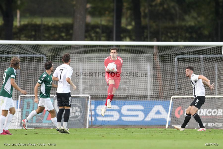 Markus Schöller, sport, action, Willy-Sachs-Stadion, Schweinfurt, Saison 2023/2024, SVW, SV Wacker Burghausen, Regionalliga Bayern, Fussball, FCS, BFV, 9. Spieltag, 1. FC Schweinfurt 1905, 08.09.2023 - Bild-ID: 2377736