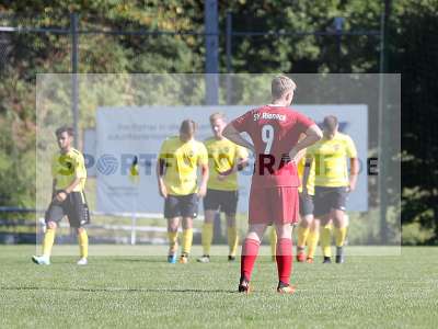 Bild-ID: 2378654