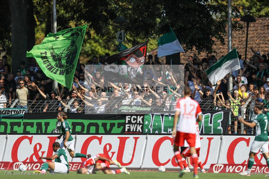 Fans, Willy-Sachs-Stadion, Schweinfurt, 16.09.2023, sport, action, BFV, Fussball, Saison 2023/2024, 10. Spieltag, Regionalliga Bayern, FCB, FCS, FC Bayern München II, 1. FC Schweinfurt 1905 - Bild-ID: 2379355