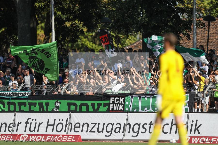 Fans, Willy-Sachs-Stadion, Schweinfurt, 16.09.2023, sport, action, BFV, Fussball, Saison 2023/2024, 10. Spieltag, Regionalliga Bayern, FCB, FCS, FC Bayern München II, 1. FC Schweinfurt 1905 - Bild-ID: 2379367