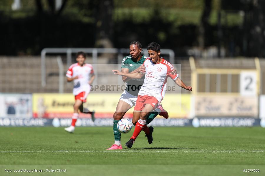 Matteo Perez Vinlöf, Willy-Sachs-Stadion, Schweinfurt, 16.09.2023, sport, action, BFV, Fussball, Saison 2023/2024, 10. Spieltag, Regionalliga Bayern, FCB, FCS, FC Bayern München II, 1. FC Schweinfurt 1905 - Bild-ID: 2379388