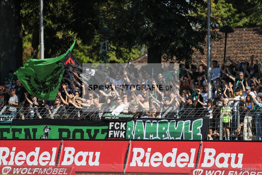 Fans, Willy-Sachs-Stadion, Schweinfurt, 16.09.2023, sport, action, BFV, Fussball, Saison 2023/2024, 10. Spieltag, Regionalliga Bayern, FCB, FCS, FC Bayern München II, 1. FC Schweinfurt 1905 - Bild-ID: 2379393