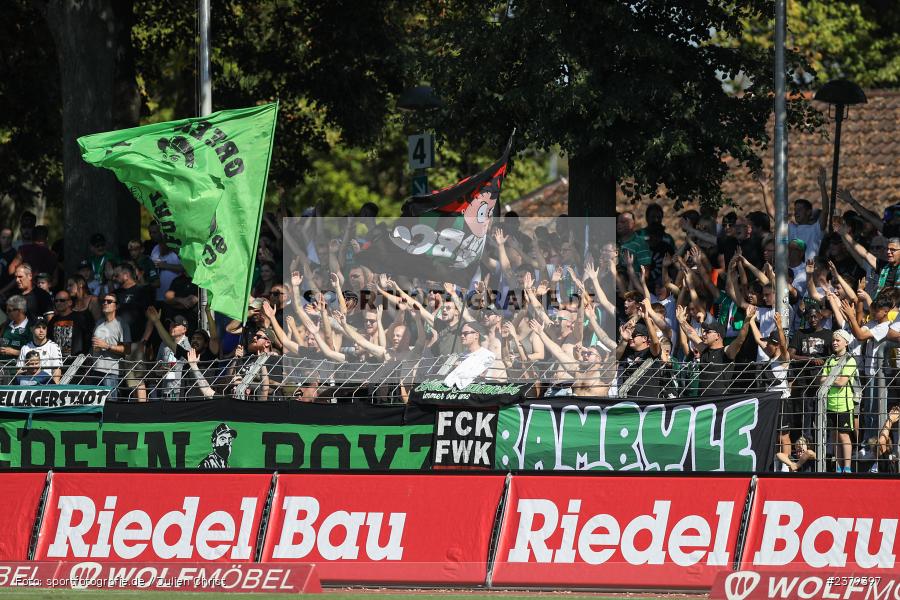 Fans, Willy-Sachs-Stadion, Schweinfurt, 16.09.2023, sport, action, BFV, Fussball, Saison 2023/2024, 10. Spieltag, Regionalliga Bayern, FCB, FCS, FC Bayern München II, 1. FC Schweinfurt 1905 - Bild-ID: 2379397