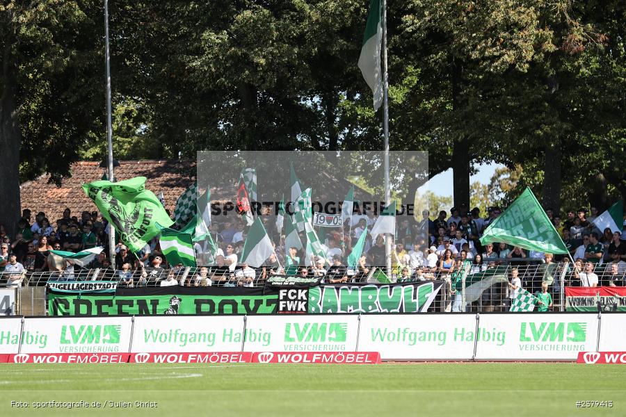 Fans, Willy-Sachs-Stadion, Schweinfurt, 16.09.2023, sport, action, BFV, Fussball, Saison 2023/2024, 10. Spieltag, Regionalliga Bayern, FCB, FCS, FC Bayern München II, 1. FC Schweinfurt 1905 - Bild-ID: 2379413