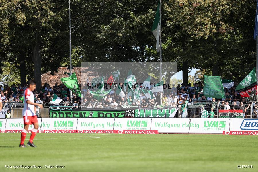 Fans, Willy-Sachs-Stadion, Schweinfurt, 16.09.2023, sport, action, BFV, Fussball, Saison 2023/2024, 10. Spieltag, Regionalliga Bayern, FCB, FCS, FC Bayern München II, 1. FC Schweinfurt 1905 - Bild-ID: 2379418