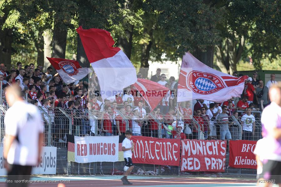 Fans, Willy-Sachs-Stadion, Schweinfurt, 16.09.2023, sport, action, BFV, Fussball, Saison 2023/2024, 10. Spieltag, Regionalliga Bayern, FCB, FCS, FC Bayern München II, 1. FC Schweinfurt 1905 - Bild-ID: 2379632