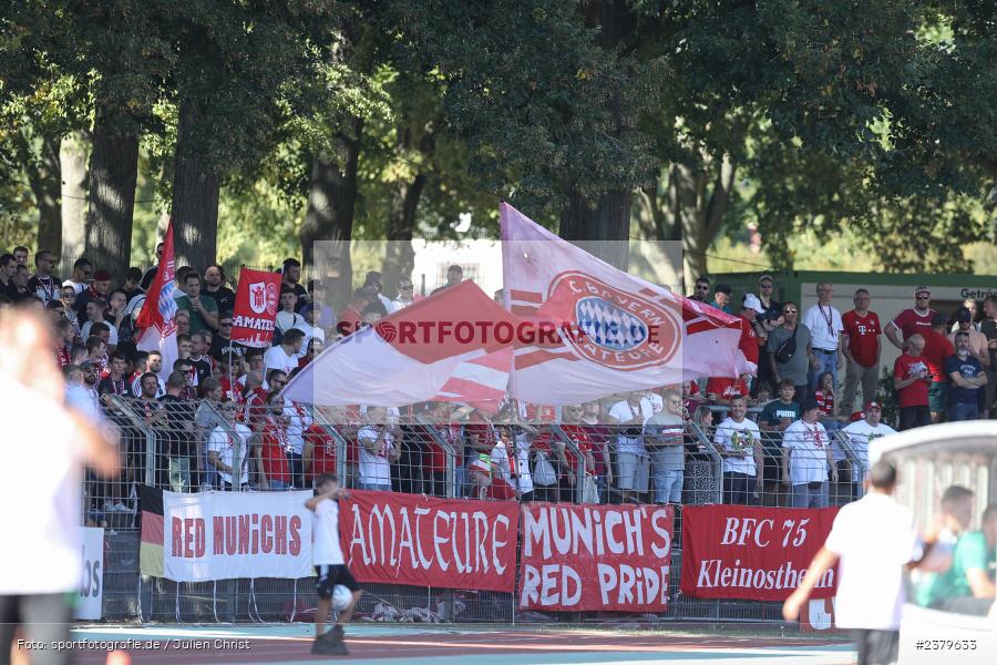 Fans, Willy-Sachs-Stadion, Schweinfurt, 16.09.2023, sport, action, BFV, Fussball, Saison 2023/2024, 10. Spieltag, Regionalliga Bayern, FCB, FCS, FC Bayern München II, 1. FC Schweinfurt 1905 - Bild-ID: 2379633