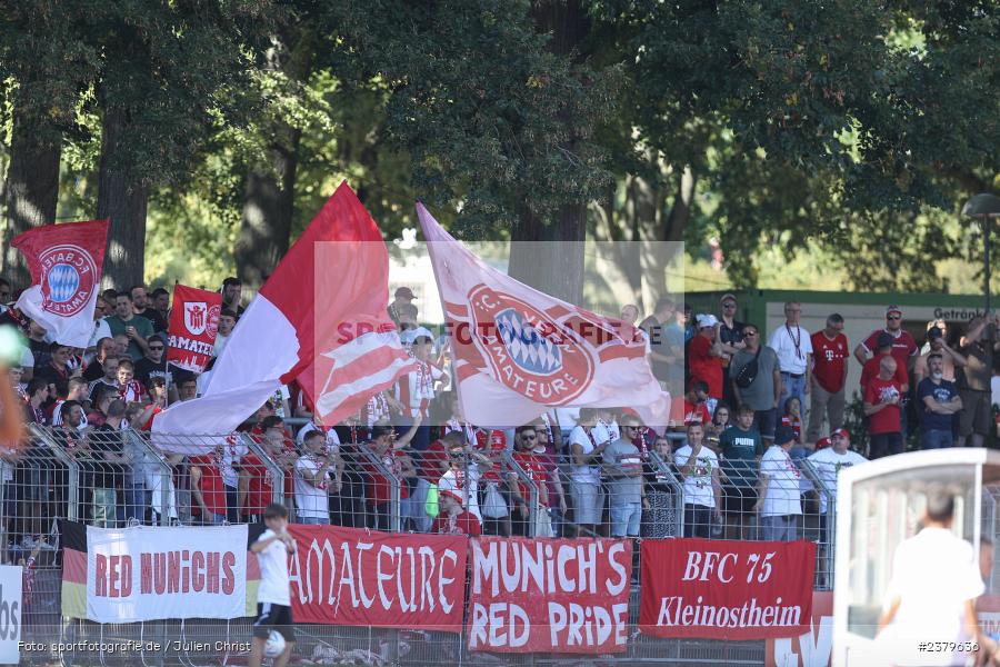 Fans, Willy-Sachs-Stadion, Schweinfurt, 16.09.2023, sport, action, BFV, Fussball, Saison 2023/2024, 10. Spieltag, Regionalliga Bayern, FCB, FCS, FC Bayern München II, 1. FC Schweinfurt 1905 - Bild-ID: 2379636